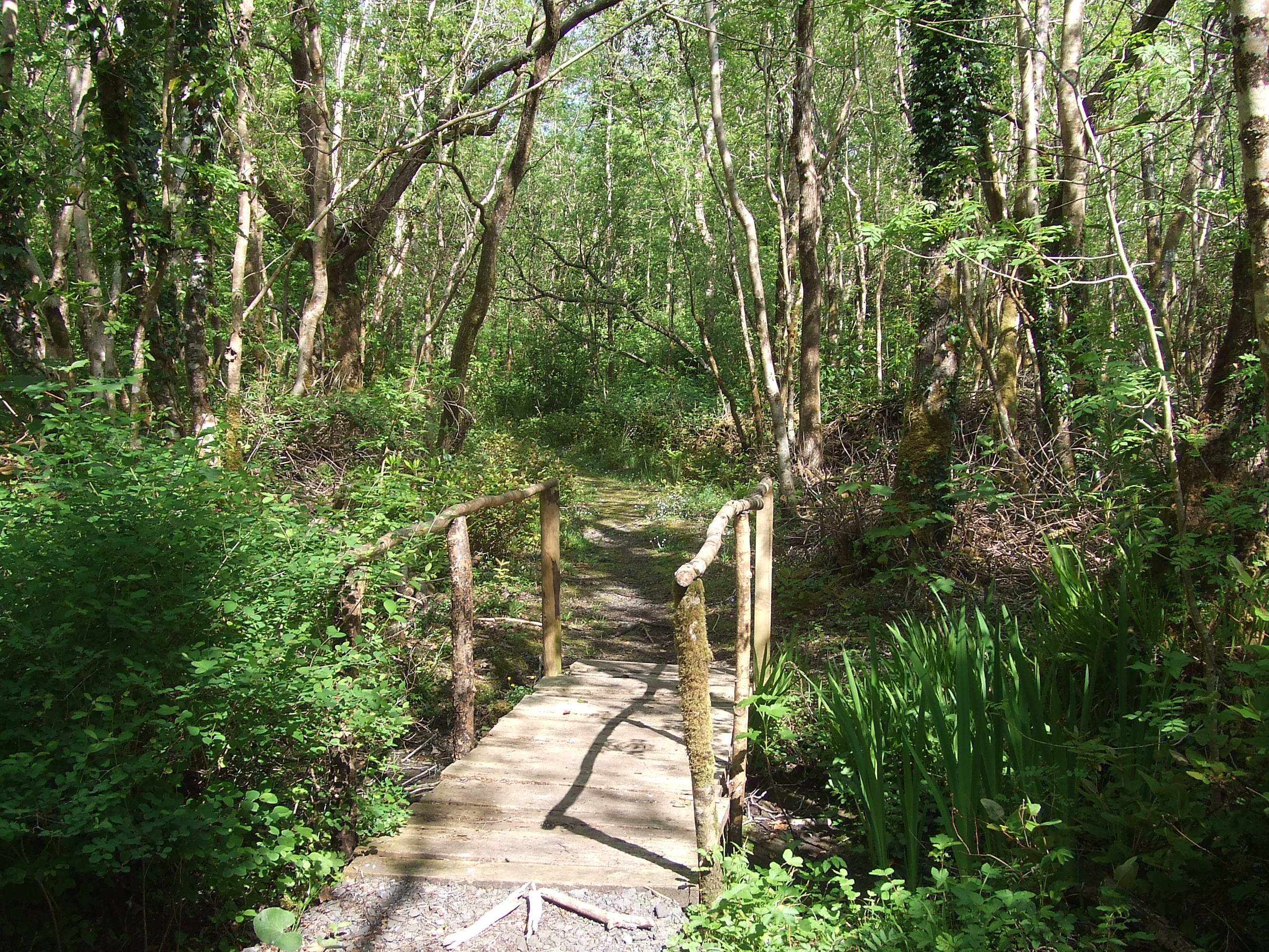 Enniscoe Bridge